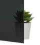 Black Planibel